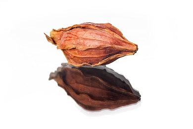 国产抗日FPS《抵抗者》新进展：今年末有新实机演示